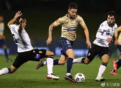 开云在线登陆入口-布莱顿vs纽卡斯尔