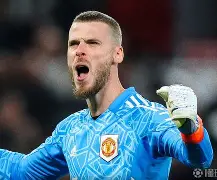 开云中国-阿扎伦卡有几个大满贯